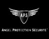 angel protection securite a paris (entreprises-de-sécurité)